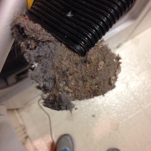 Cleaning Duct Clogged Dryer